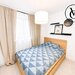 Theodor Pallady, Hils Brauner, Nicolae Teclu, apartament 3 camere